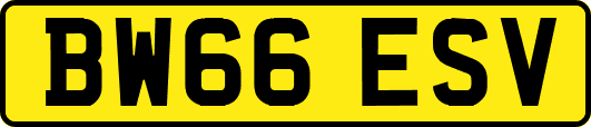 BW66ESV