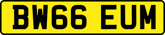 BW66EUM