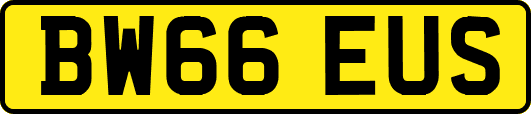 BW66EUS