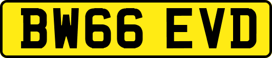 BW66EVD