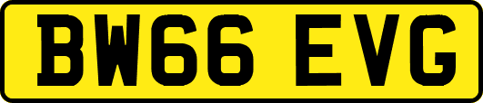 BW66EVG