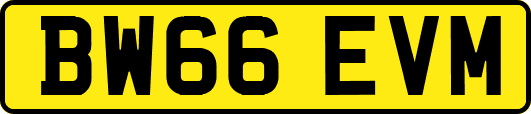 BW66EVM