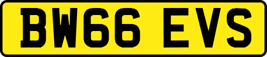 BW66EVS