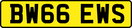 BW66EWS