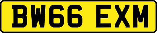 BW66EXM