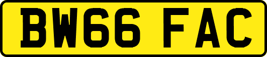 BW66FAC