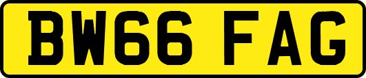 BW66FAG