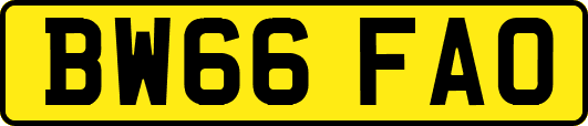 BW66FAO