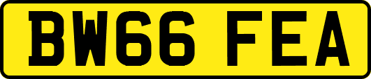 BW66FEA