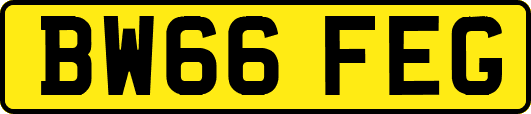 BW66FEG