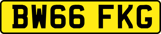 BW66FKG