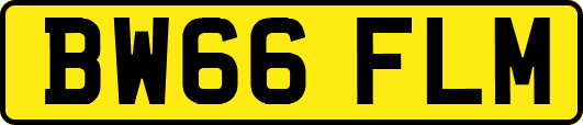 BW66FLM