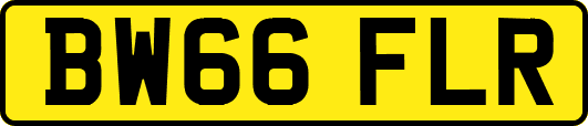 BW66FLR