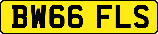 BW66FLS