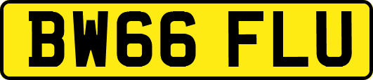 BW66FLU