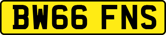 BW66FNS