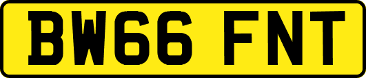 BW66FNT