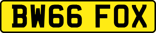 BW66FOX