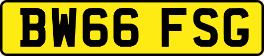 BW66FSG