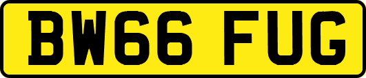 BW66FUG