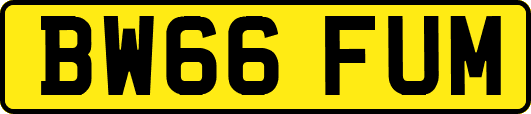 BW66FUM