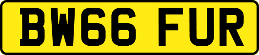 BW66FUR