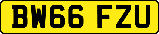 BW66FZU
