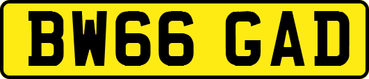 BW66GAD