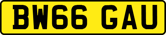 BW66GAU