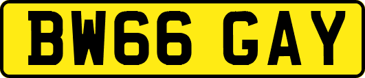 BW66GAY