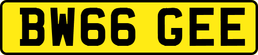 BW66GEE