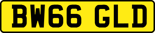 BW66GLD