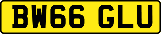 BW66GLU