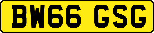 BW66GSG