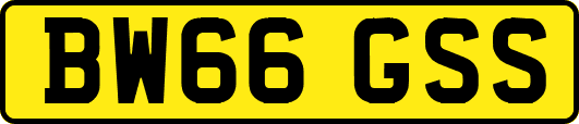 BW66GSS