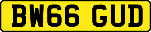 BW66GUD