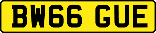 BW66GUE