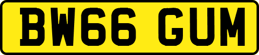 BW66GUM