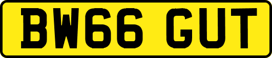 BW66GUT
