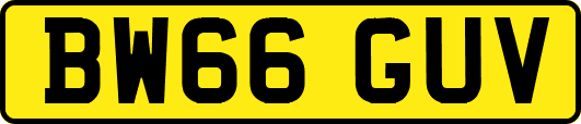 BW66GUV