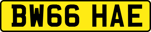 BW66HAE