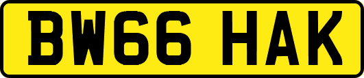 BW66HAK