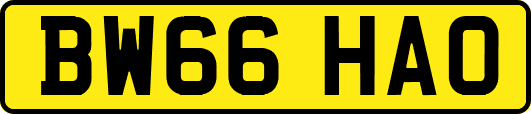 BW66HAO