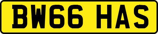 BW66HAS