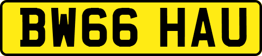 BW66HAU