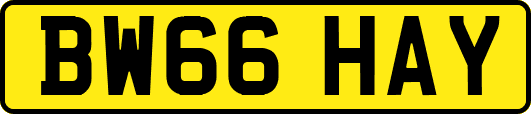 BW66HAY