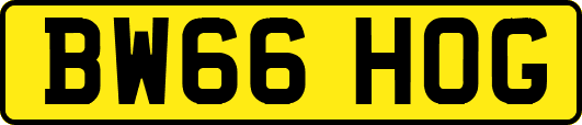 BW66HOG