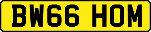 BW66HOM