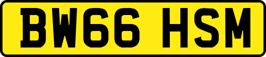 BW66HSM
