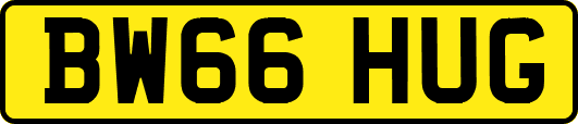 BW66HUG